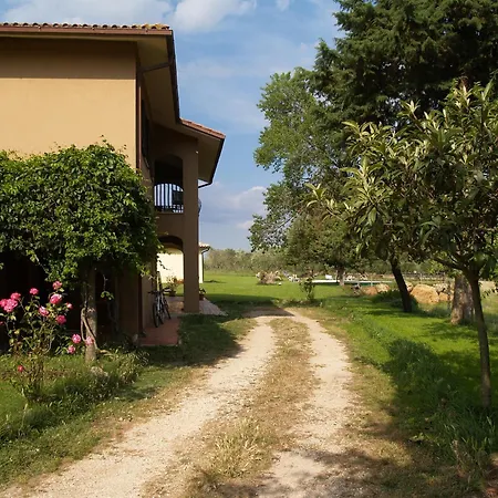 Cavallin Del Bufalo Manciano