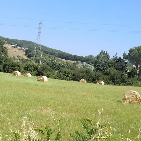 Cavallin Del Bufalo Manciano